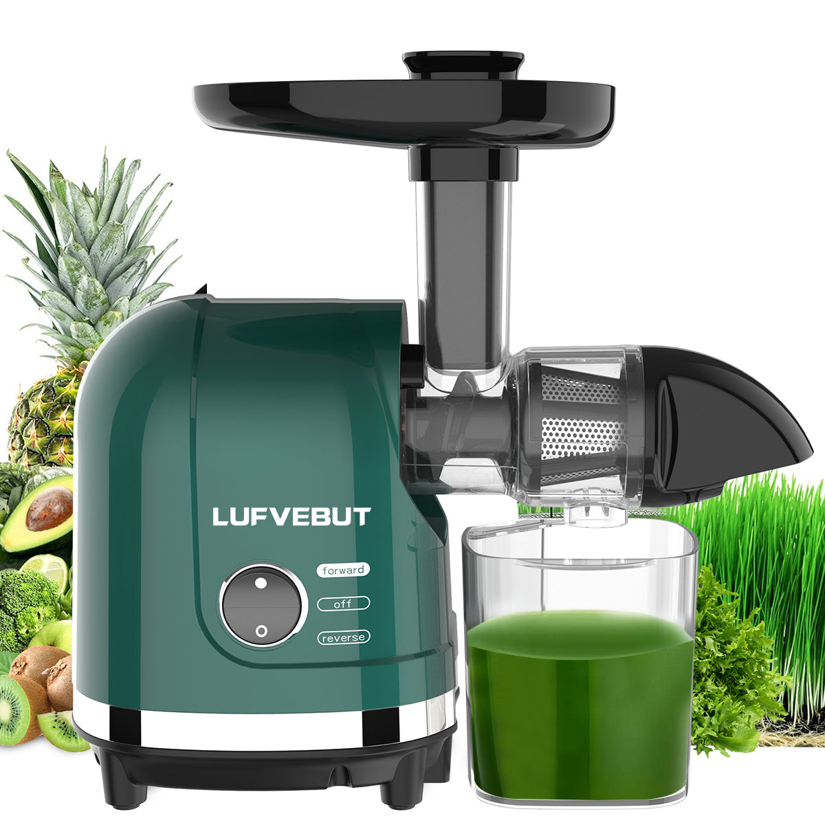 LUFVEBUT Compact Vegetables & Fruit Slow Juicer - BP8038, Peacock Green