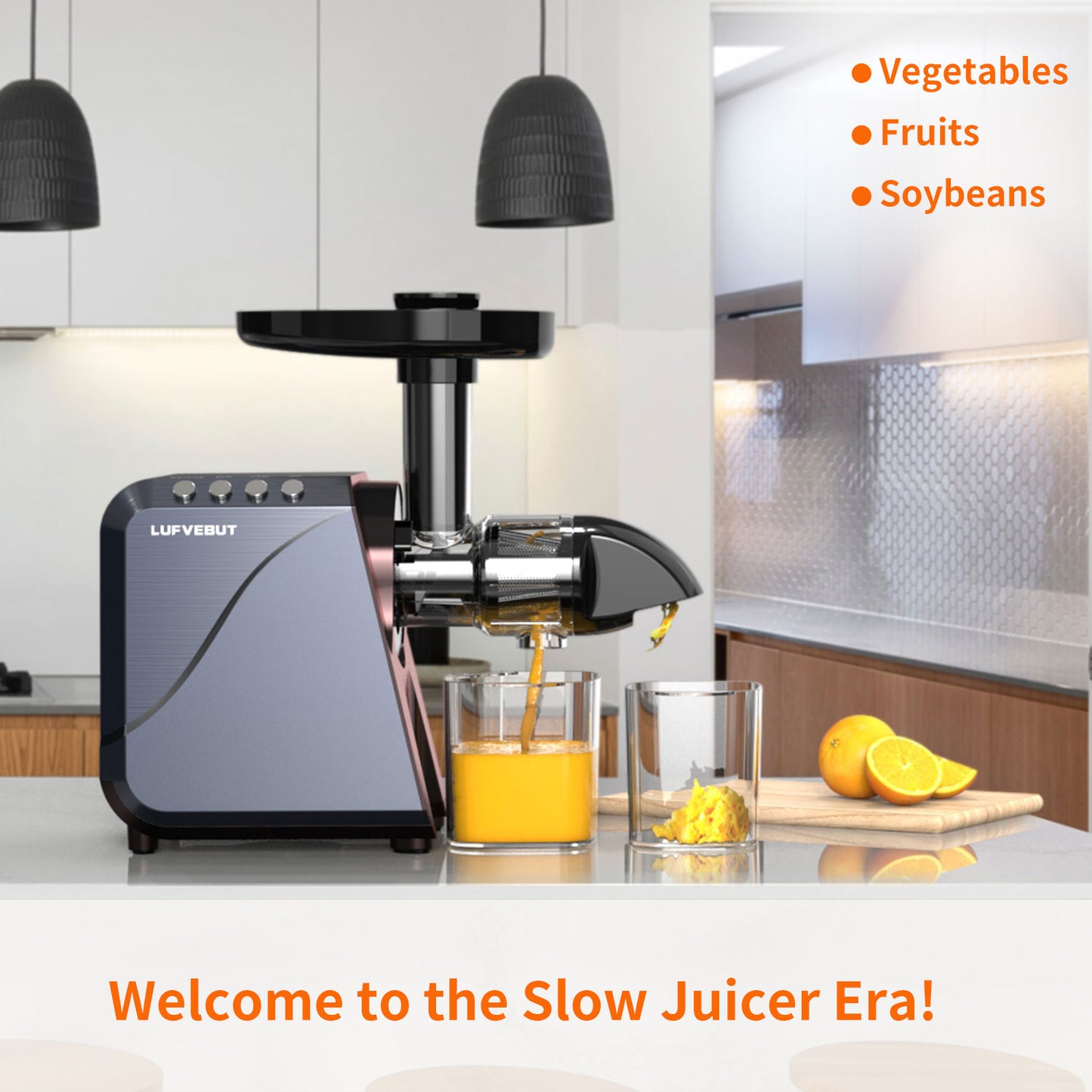 LUFVEBUT 250W Juicer Machine Slow Juice Extractor - B5100, Meteorite Gray